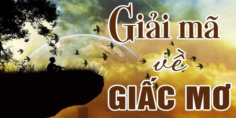 Giải mã giấc mơ tìm lộc số đề thắng lớn