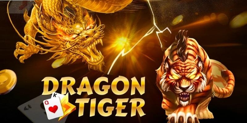 Các hình thức cược trong trò chơi Rồng Hổ online New88