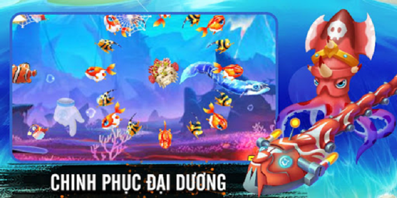 Đa dạng các loài sinh vật biển